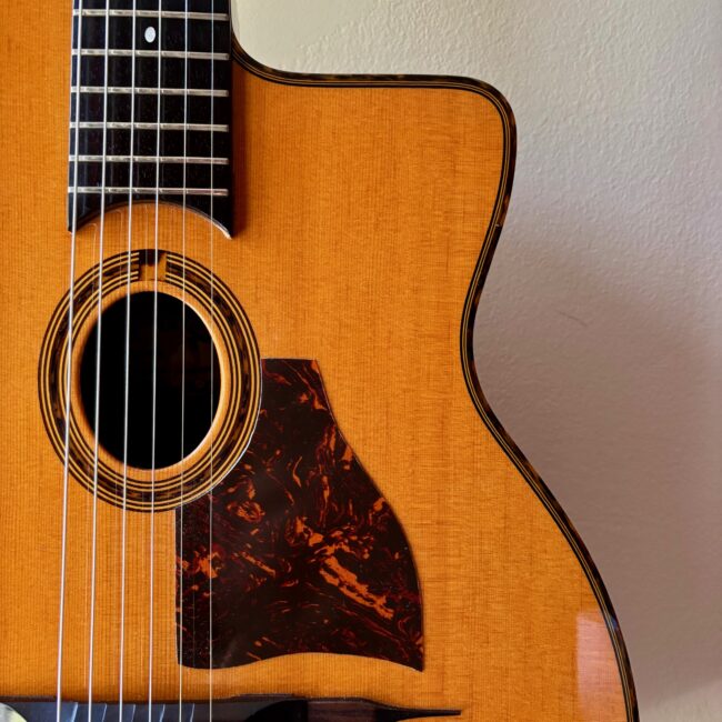 Gitane DG-300 John Jorgenson - immagine 3
